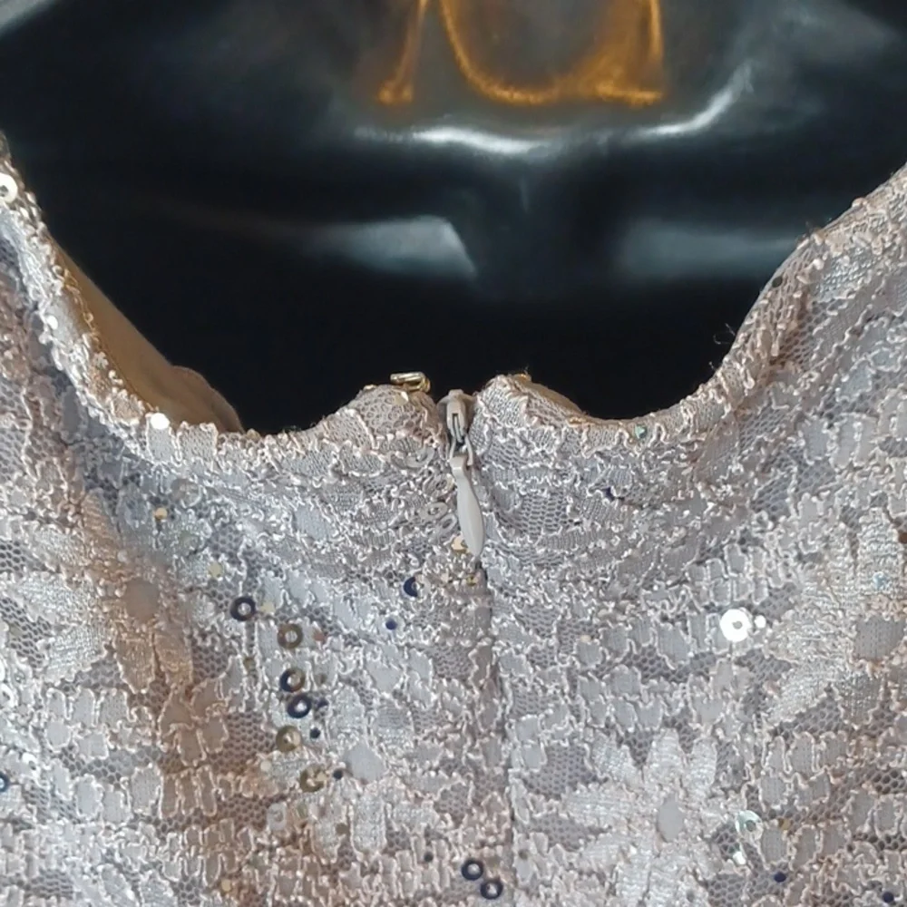 R&M Collection Platinum Gown with Lace Sequin bodice, New